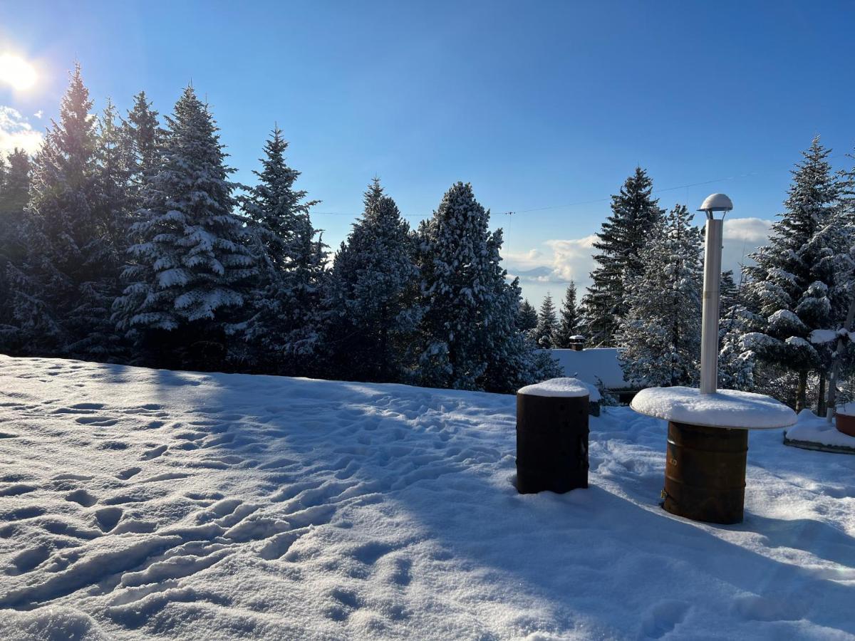 Kreiers Alp Apartment Hohenems