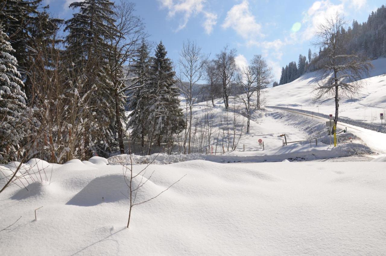 Apartment Kreiers Alp Hohenems